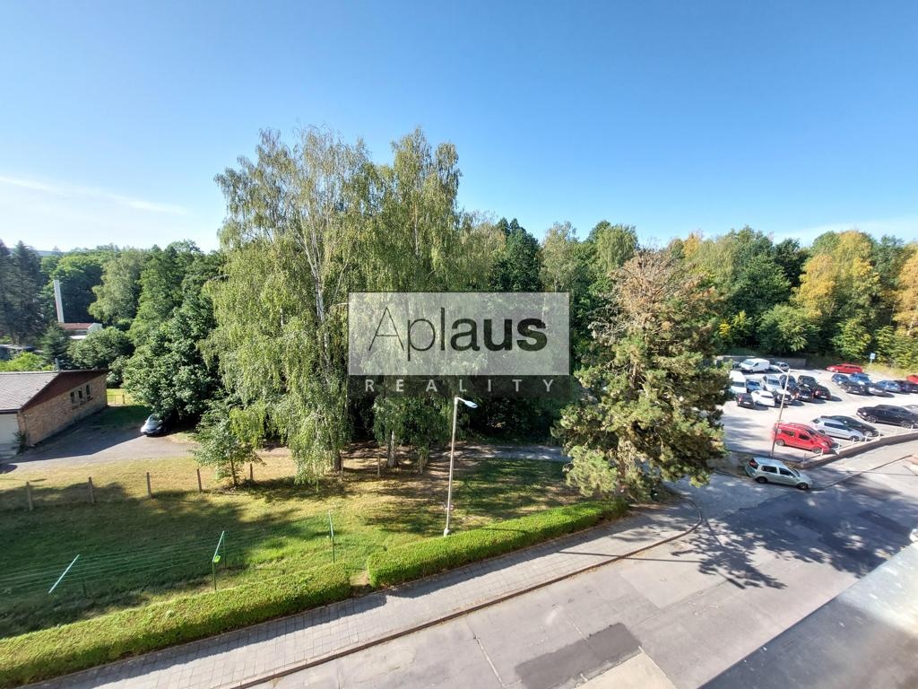 Pronájem bytu 1+kk, Chlum u Třeboně