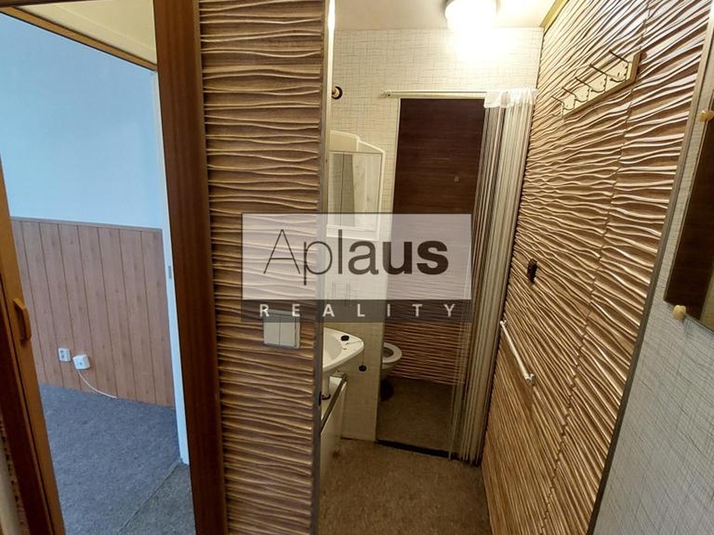 Pronájem bytu 1+1, České Budějovice