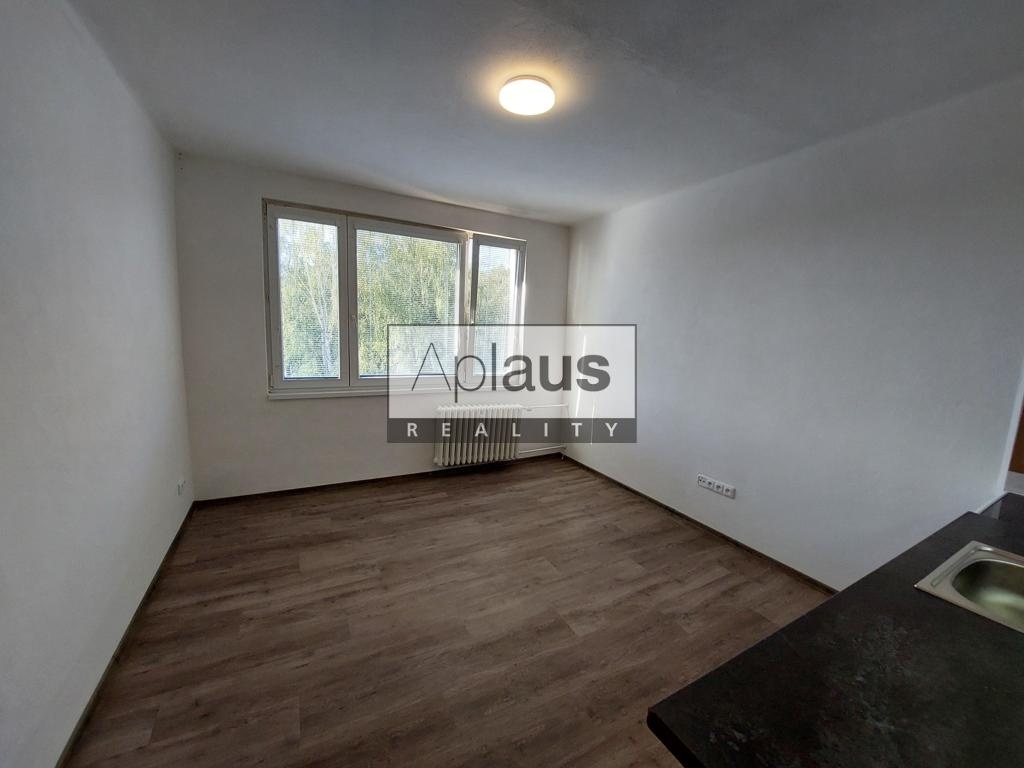 Pronájem bytu 1+kk, Chlum u Třeboně